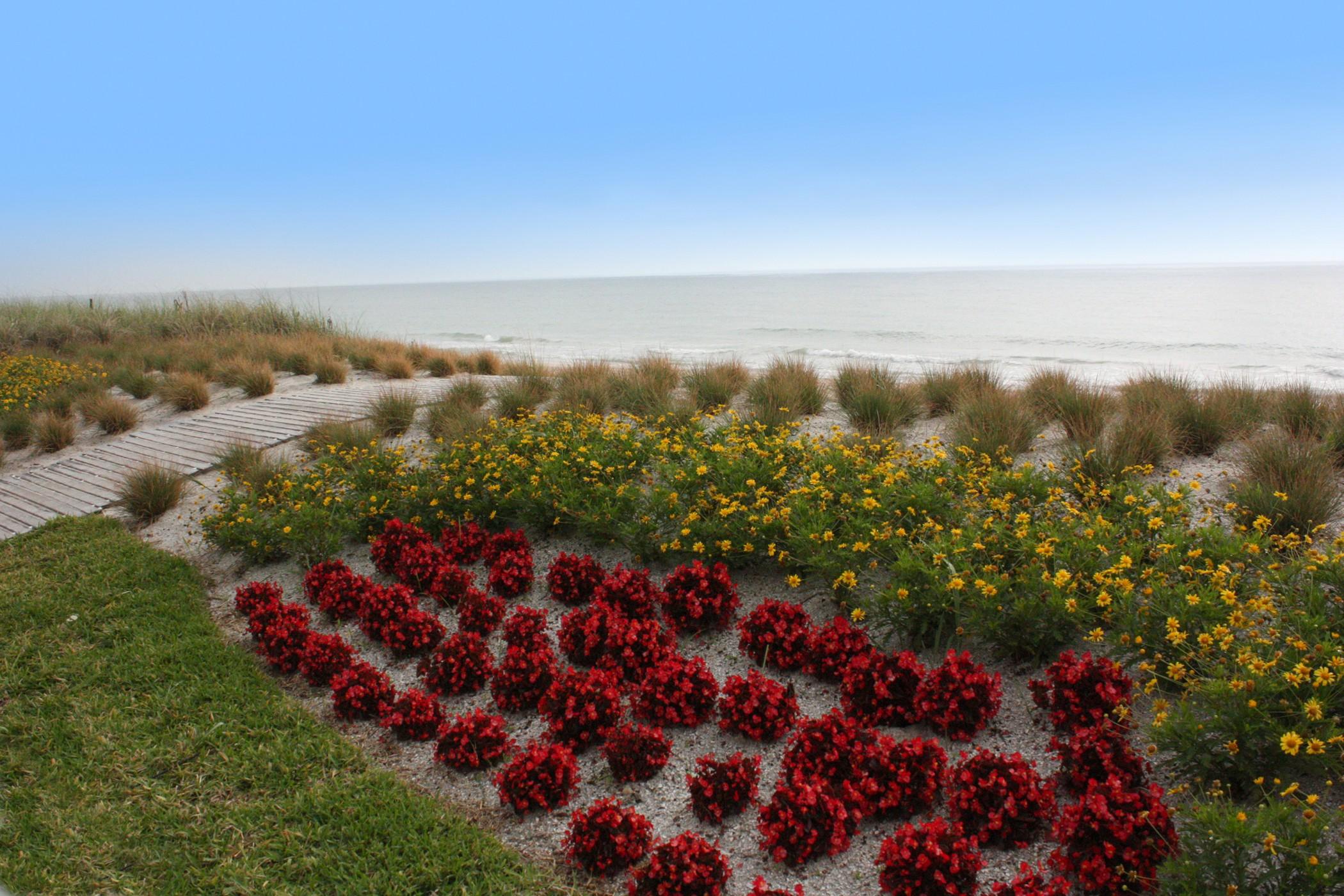 Costa D'este & Vero Beach
